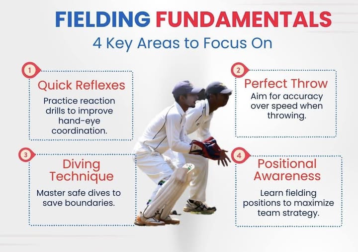 Hand-Eye Coordination for Cricket